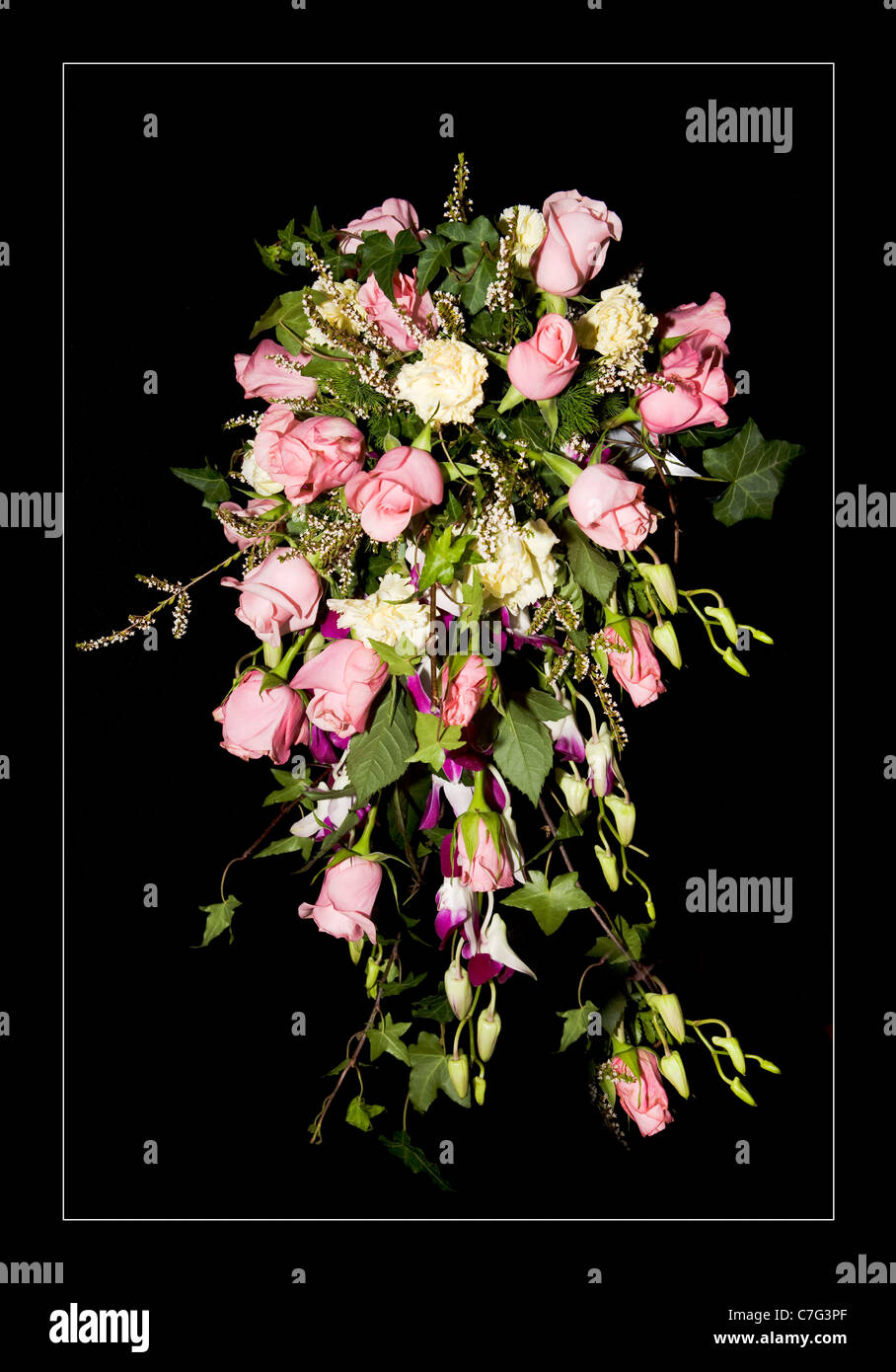 Blumenarrangement Rosen weiße Rahmenlinie Stockfoto