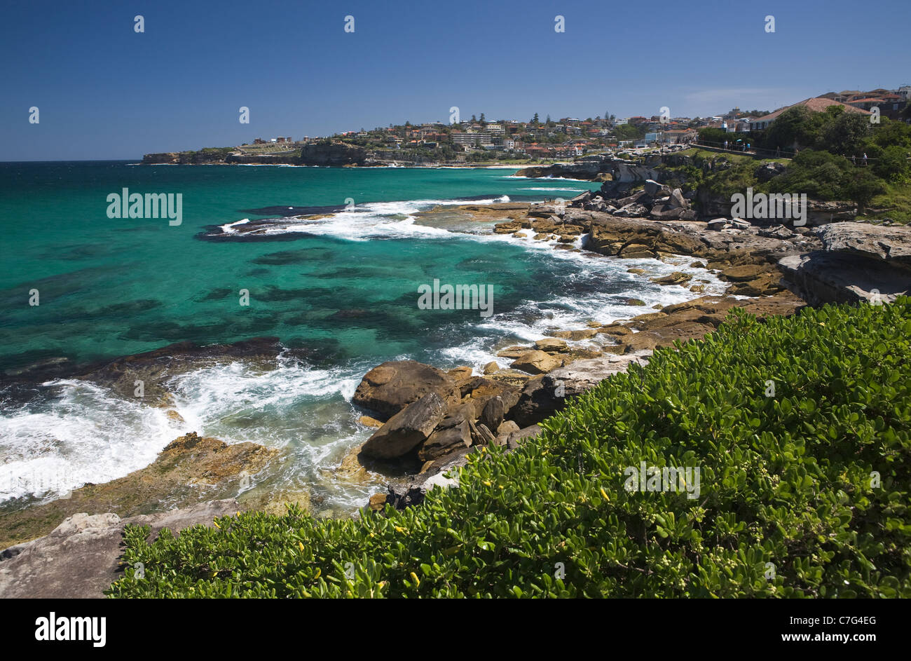 Tamarama nach Bronte beach Küstenweg, Sydney, Australien Stockfoto