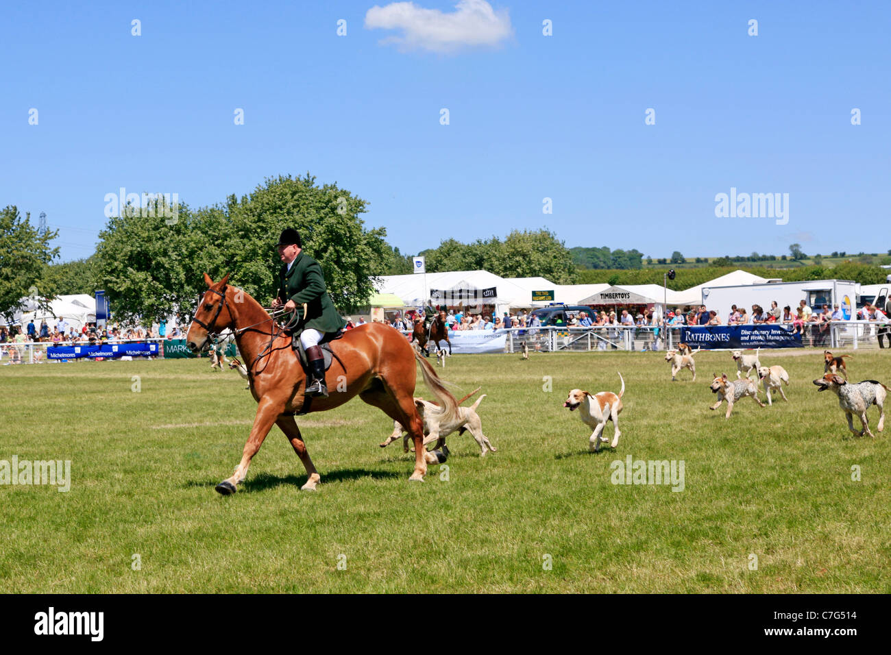 Somerset-Pferd und Hund anzeigen in Bad & West zeigen Somerset England Stockfoto