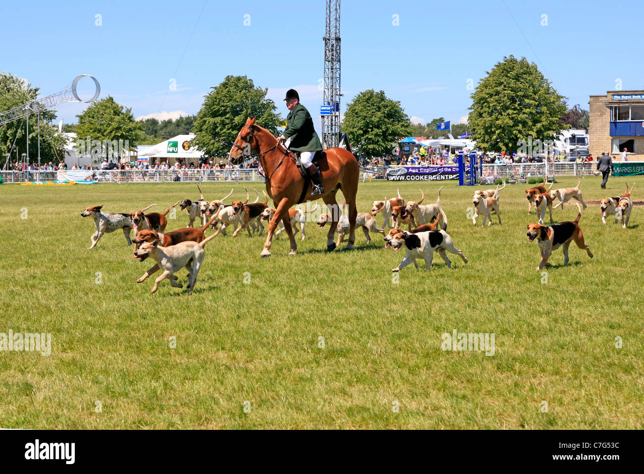 Somerset-Pferd und Hund anzeigen in Bad & West zeigen Somerset England Stockfoto