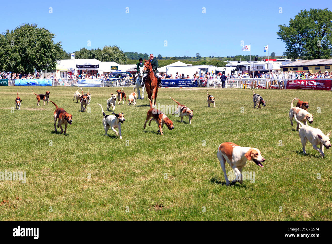 Das Somerset Pferd und Hund Display auf der Messe Bad & West Stockfoto