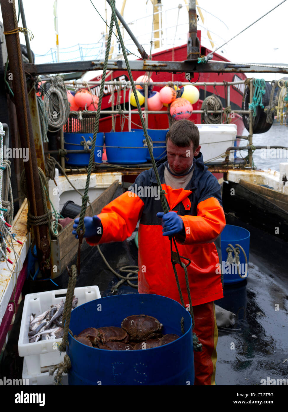 dh Fischerboot am Kai ANGELN ORKNEY Eimer Krabbe bereit, an Land gehoben werden uk Fischer Fisch fangen Industrie Stockfoto