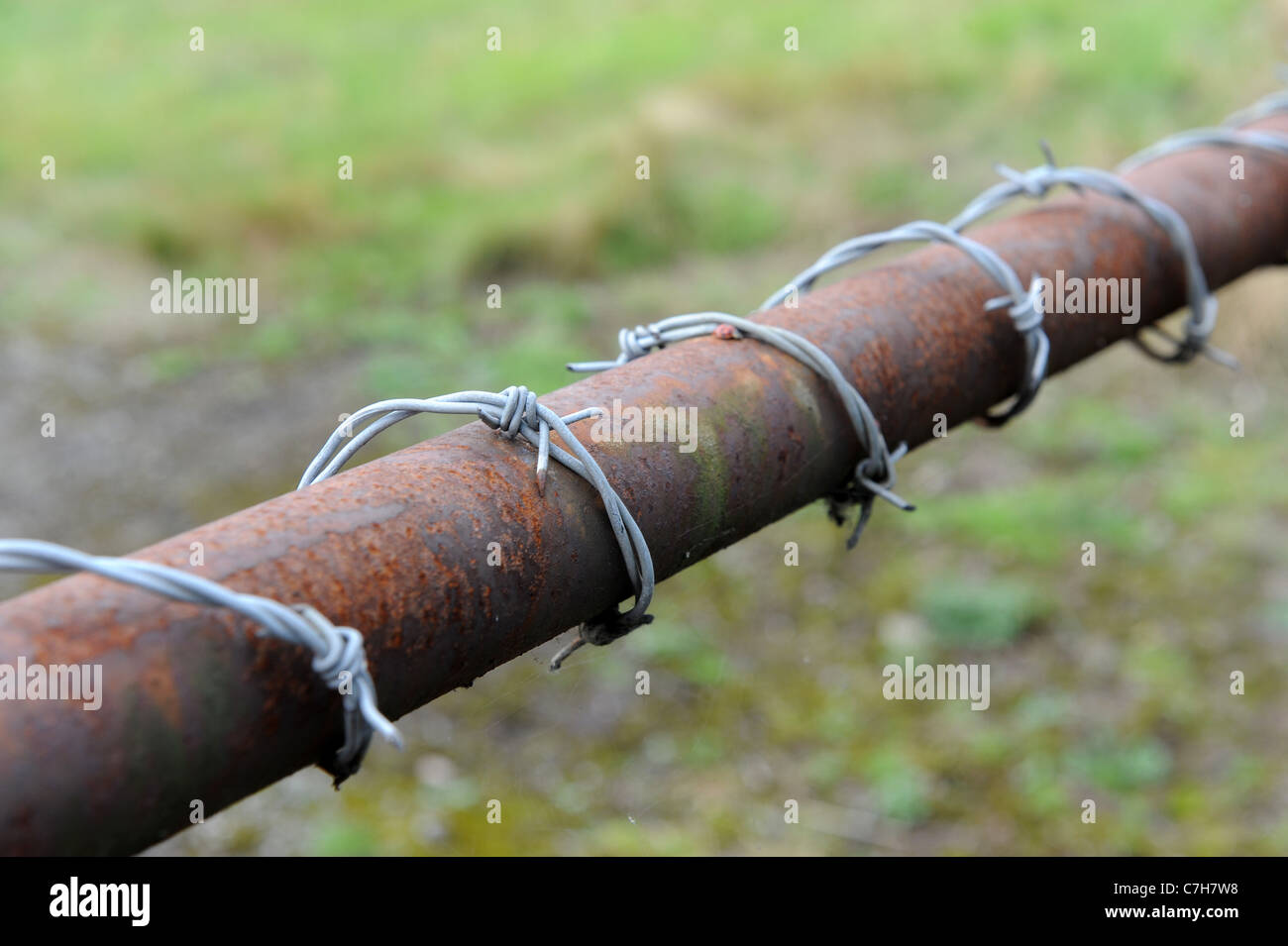 Stacheldraht umwickelt-Hof Stockfoto