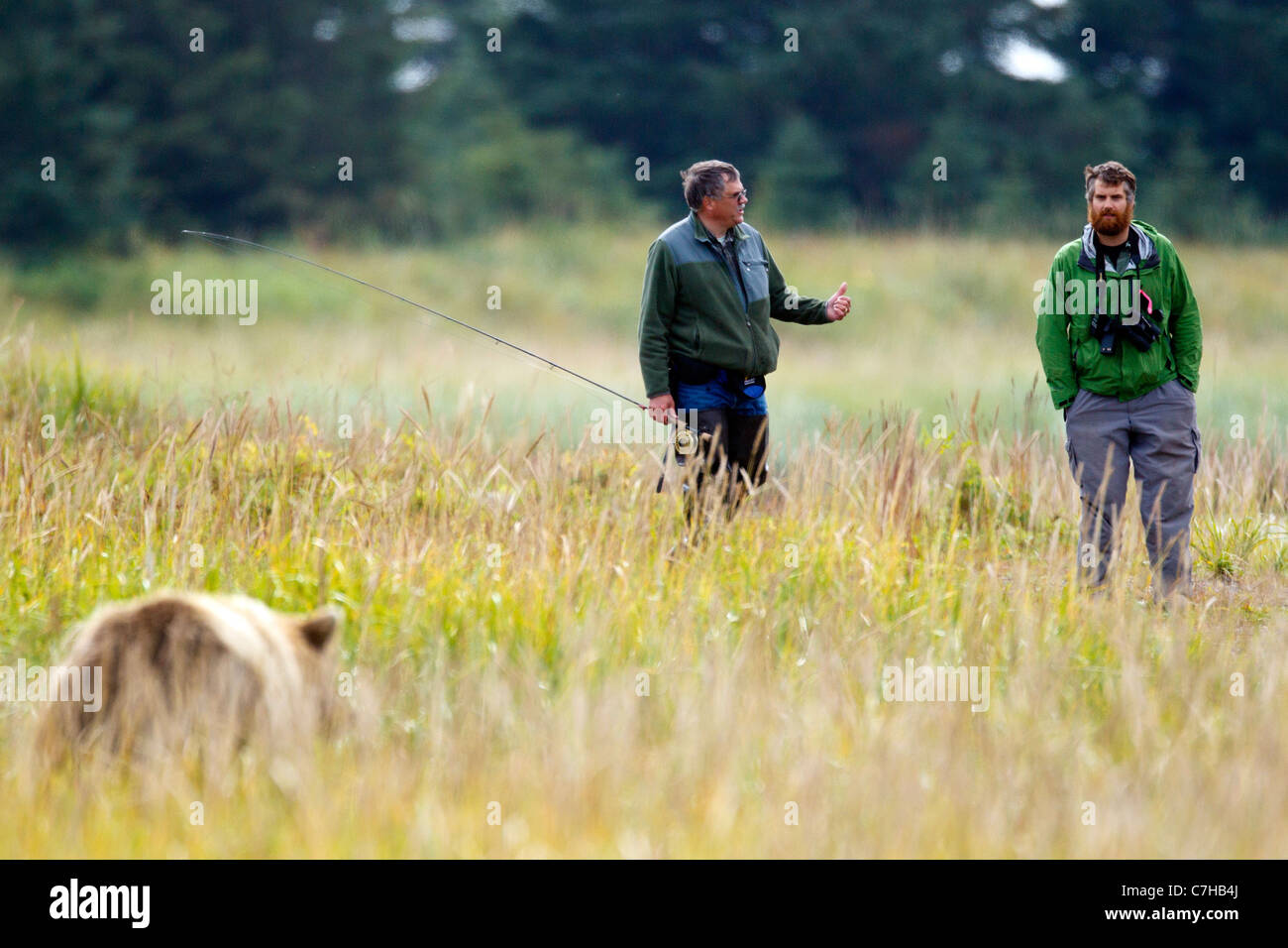 Nordamerikanischen Braunbären (Ursus Arctos Horribilis) Uhren, ein Fischer und ein Mitarbeiter der Park, Lake-Clark-Nationalpark, Alaska Stockfoto