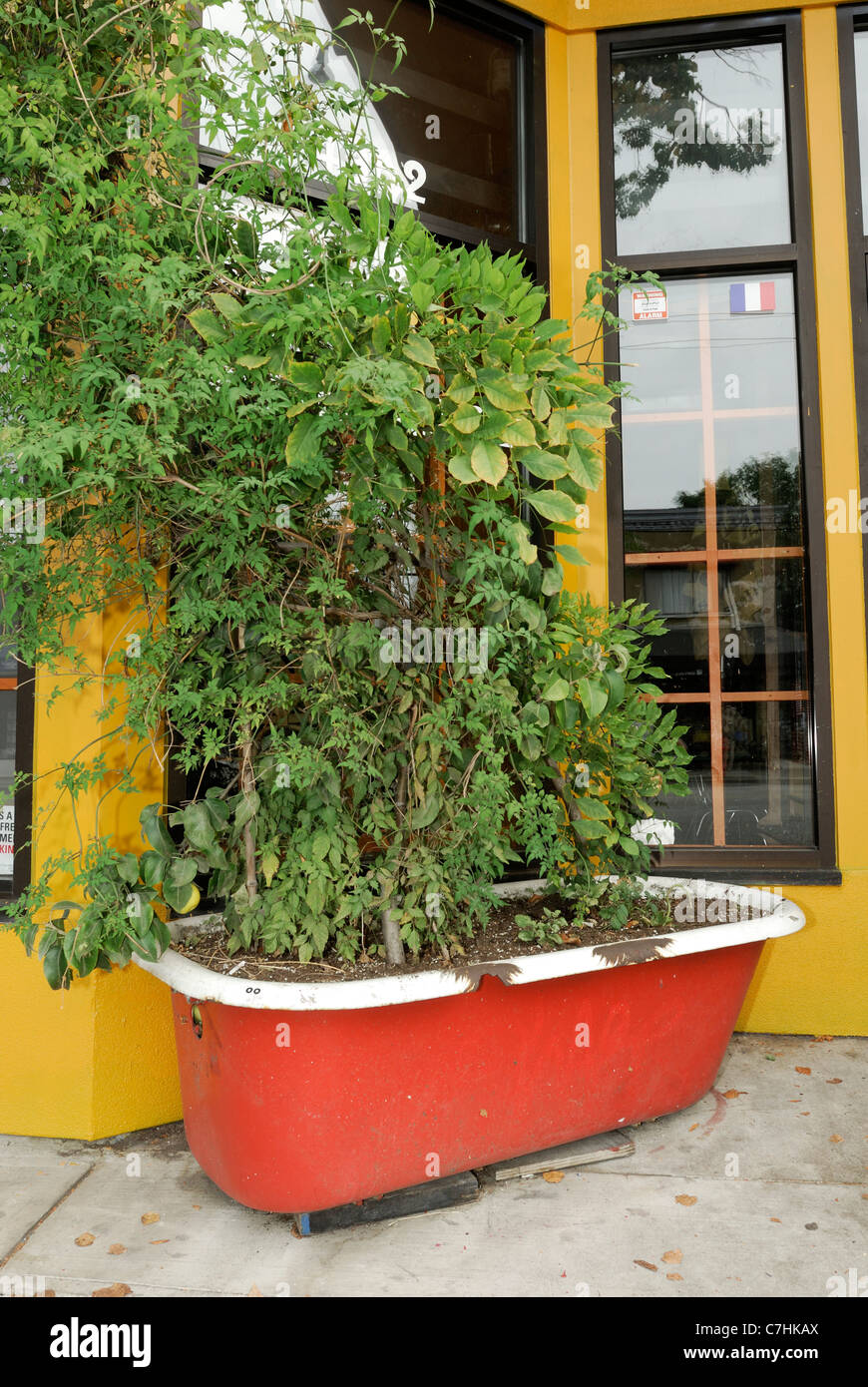 Roten Badewanne verwandelte sich in ein Pflanzgefäß sitzen vor eine Niederlassung auf der Main Street in der Innenstadt von Vancouver. Stockfoto