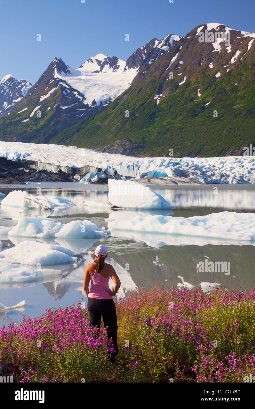 Ein Wanderer genießt die Wildblumen entlang des Sees vor Spencer Gletscher, Chugach National Forest, Alaska. Stockfoto