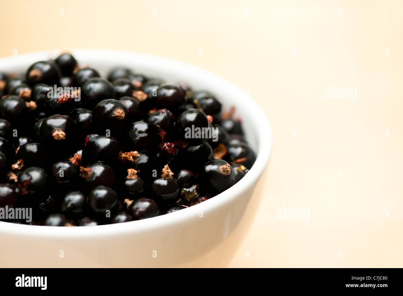 Schale mit schwarzen Johannisbeeren, Ripes nigrum Stockfoto