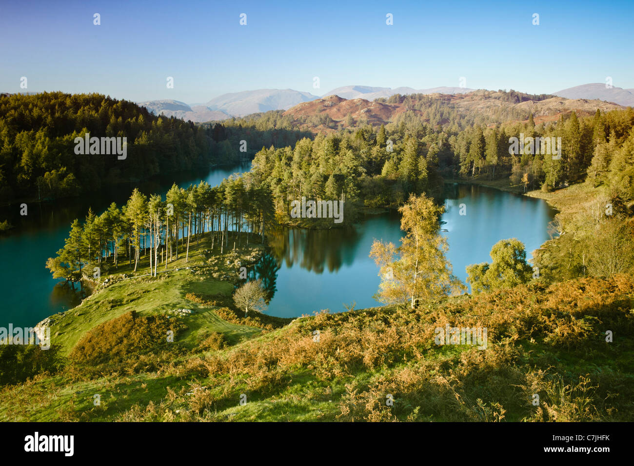 Tarn Hows, Lake District, England, Vereinigtes Königreich Stockfoto