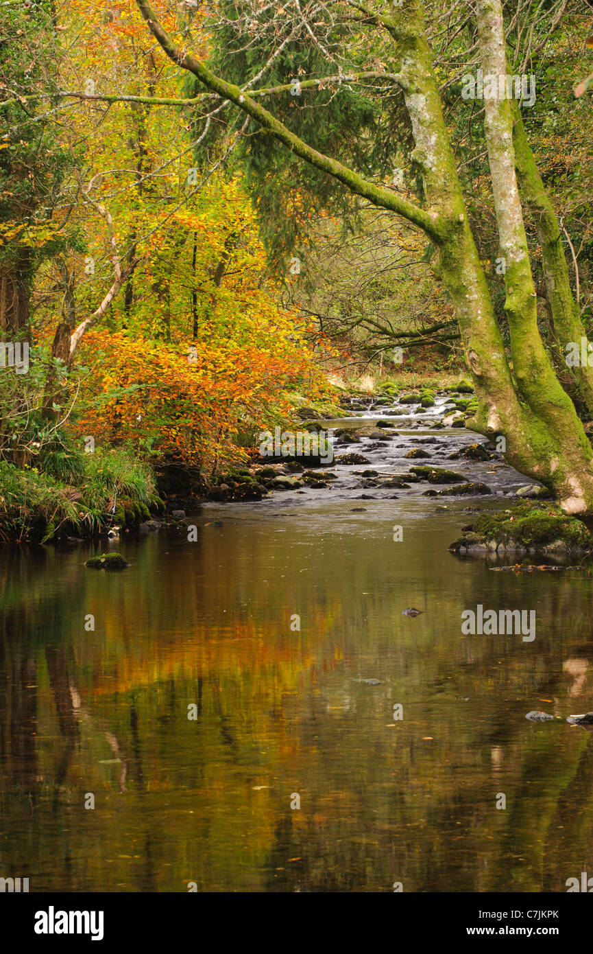 Herbstliche Fluss Szene, Lake District, England, UK Stockfoto