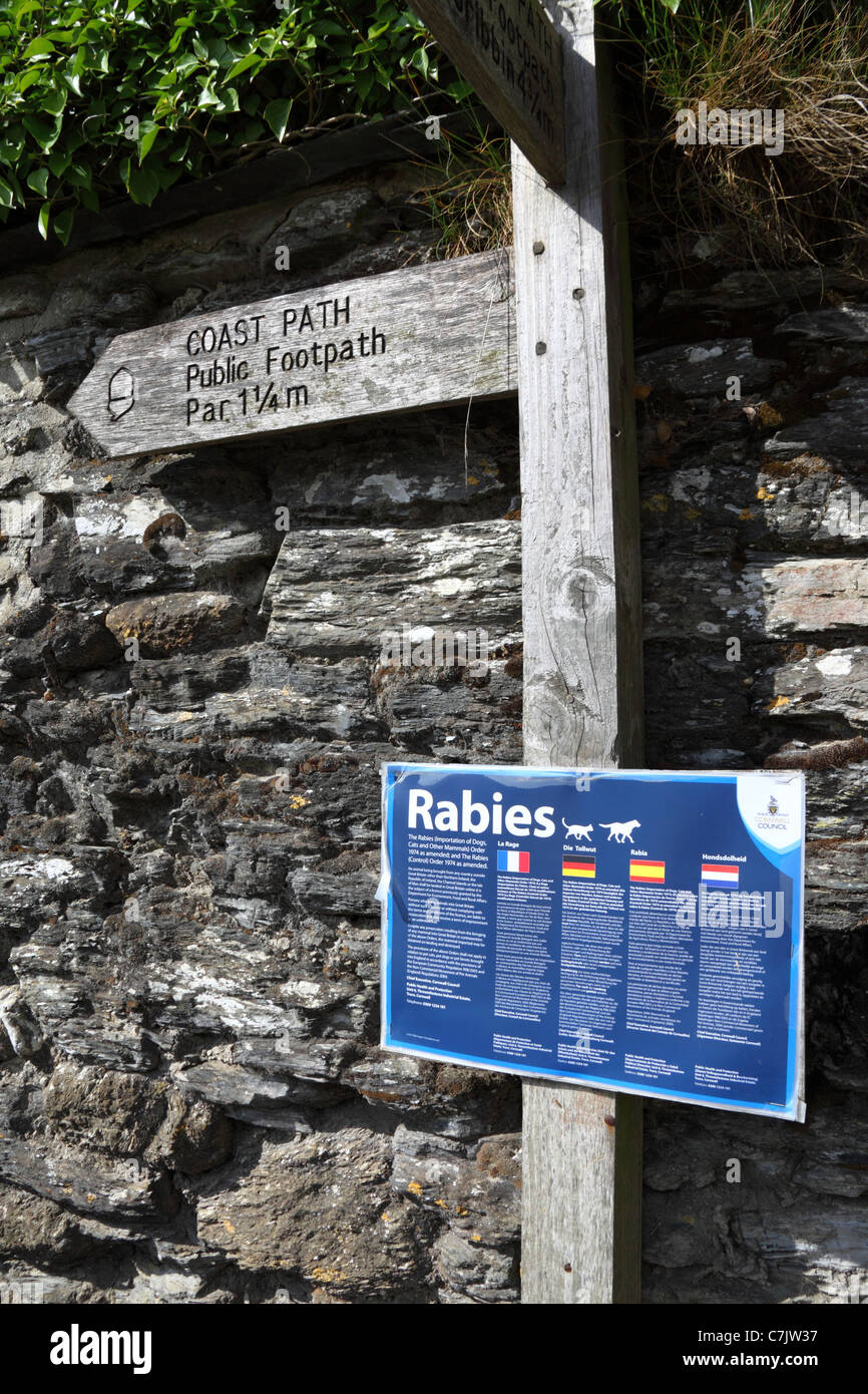 Schild Warnung vor Gefahr von Tollwut und Verordnungen in europäischen Sprachen im Dorf Polkerris, Cornwall, England Stockfoto