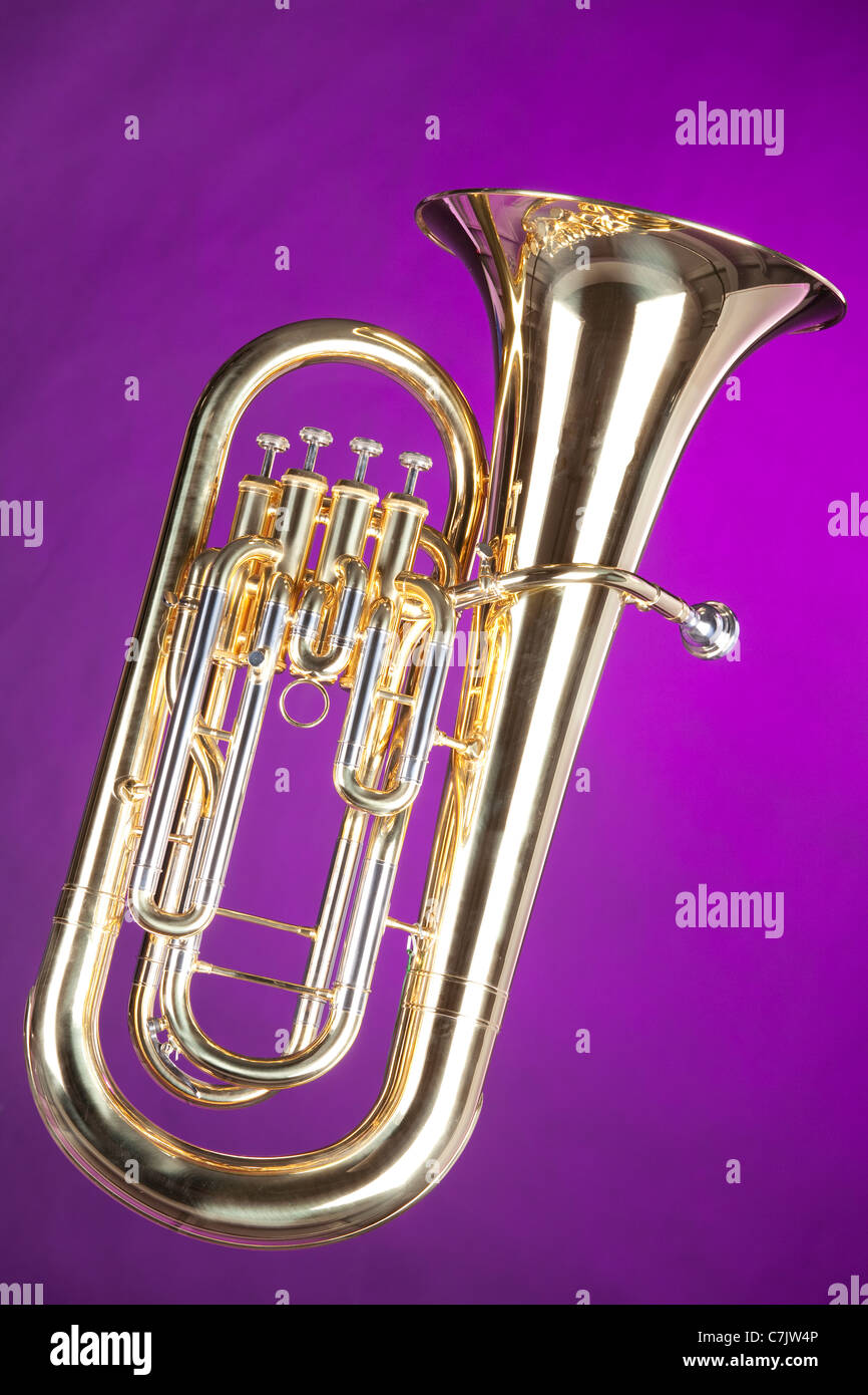 Ein Goldmessing Tuba Euphonium Bariton Horn isoliert vor dem