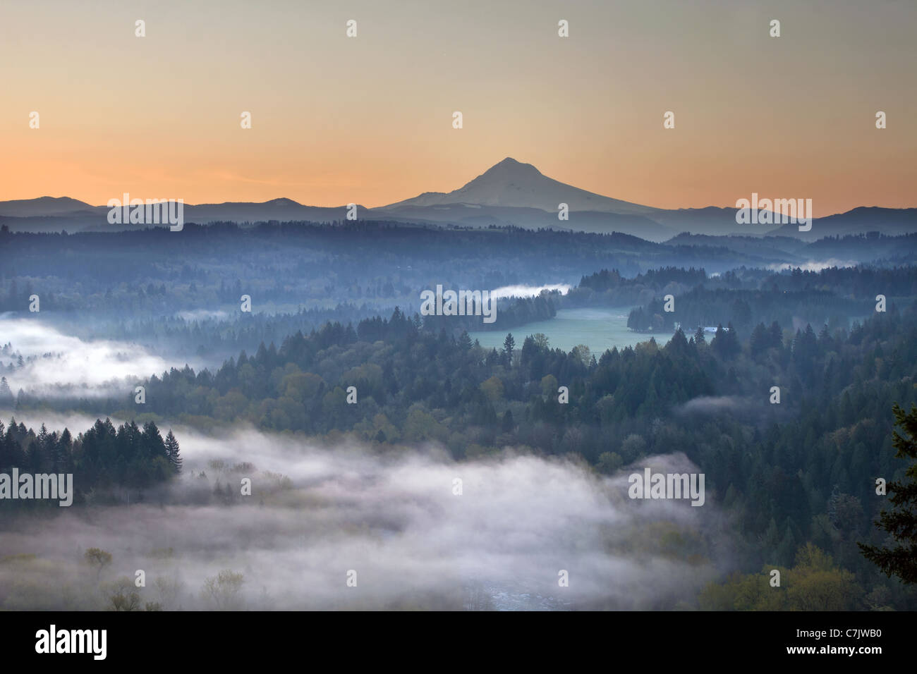 Nebligen Sonnenaufgang über Sandy River Valley und Mount Hood in Oregon Stockfoto