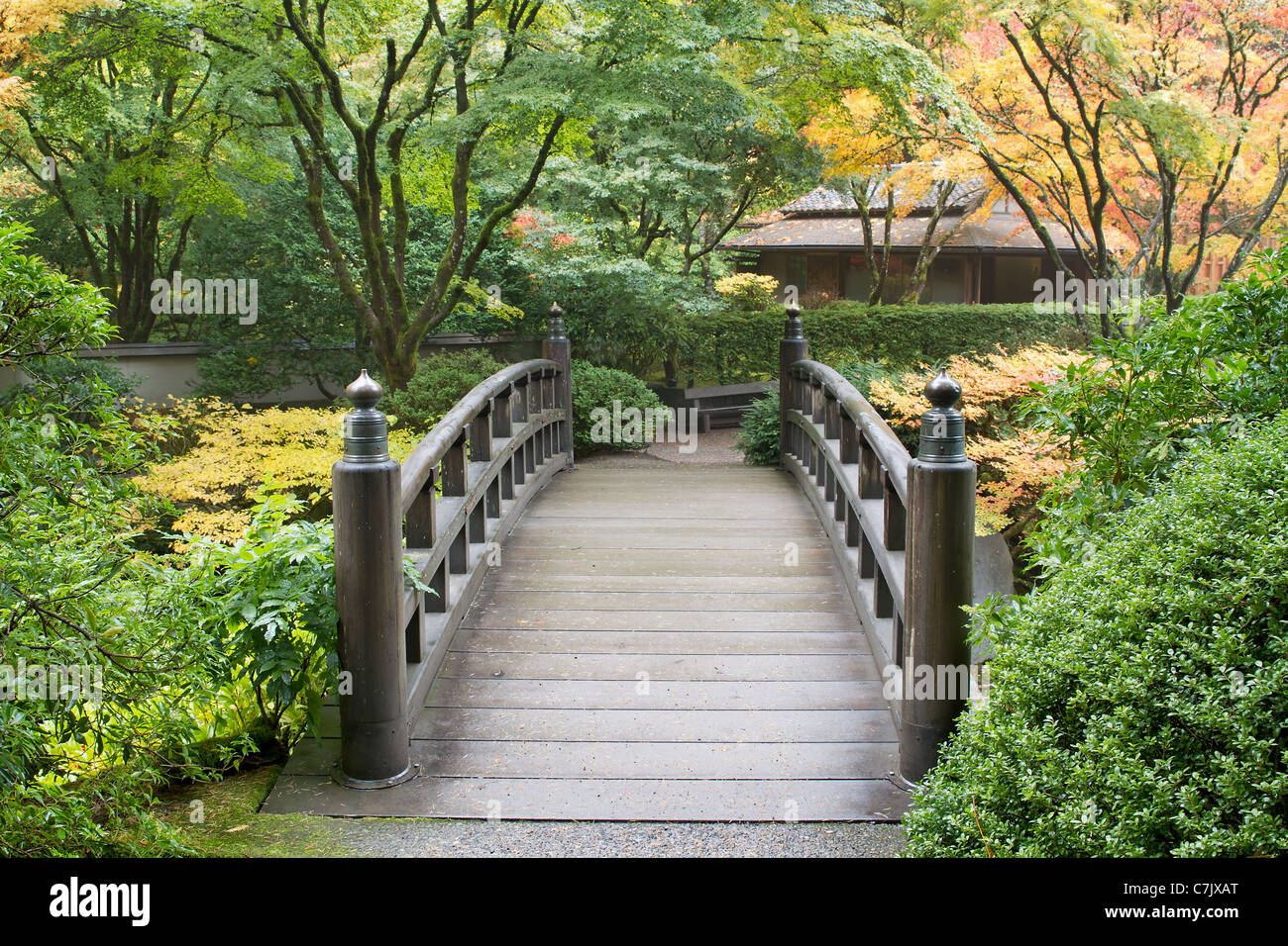 Hölzerne Fußgängerbrücke im japanischen Garten im Herbst Stockfoto