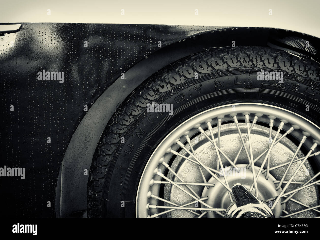 Seitenansicht des Austin Healey Sportwagen Stockfoto