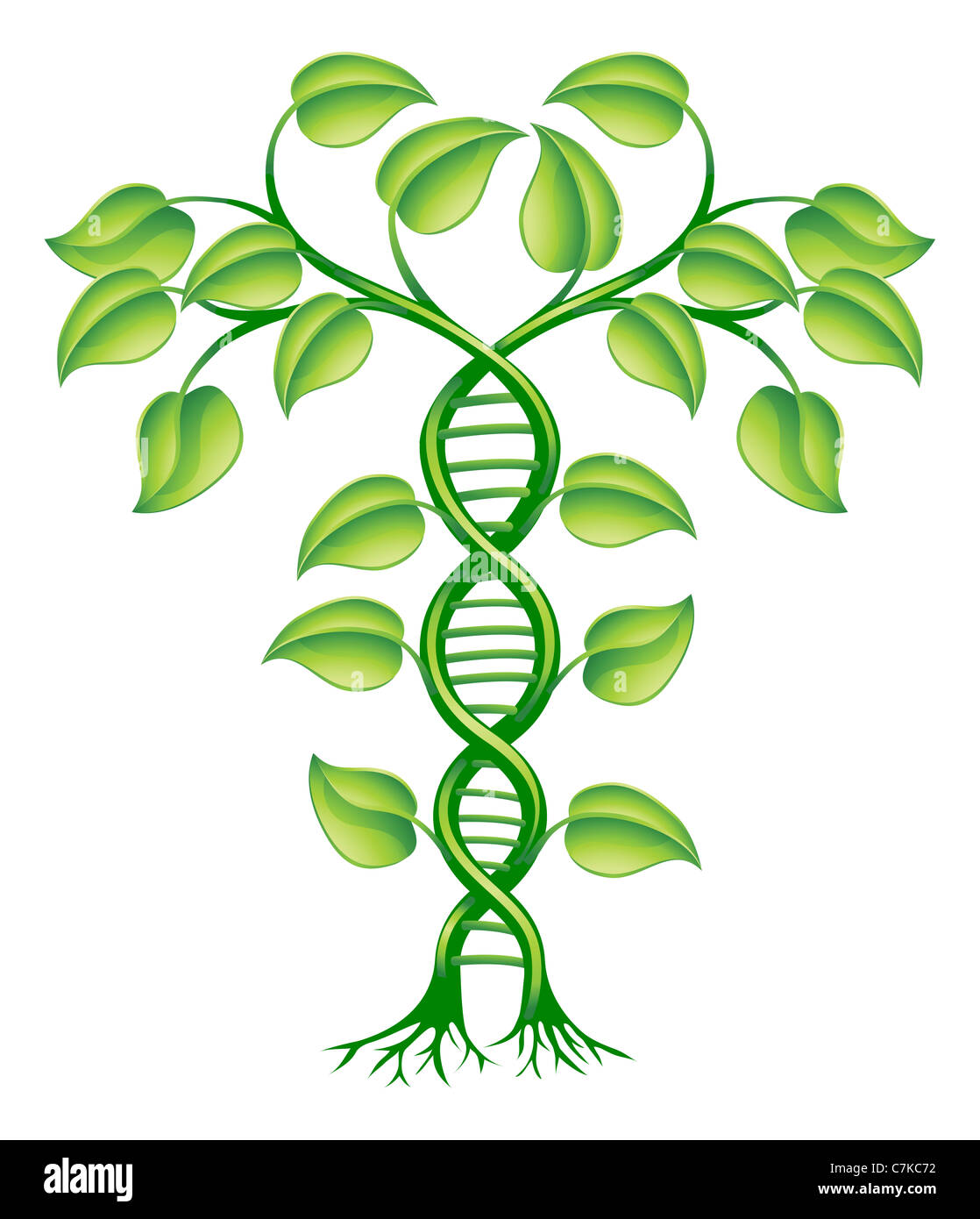 DNA-Anlagenkonzept kann beziehen sich auf Alternativmedizin, gentechnische Veränderung zu beschneiden. Stockfoto