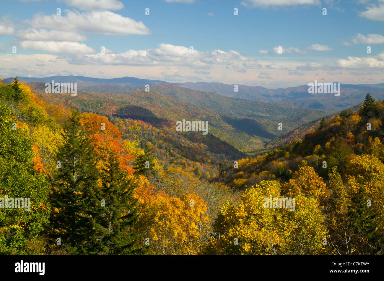 Oconaluftee Tal an einem teilweise bewölkten Nachmittag in Great Smoky Mountains National Park. Stockfoto