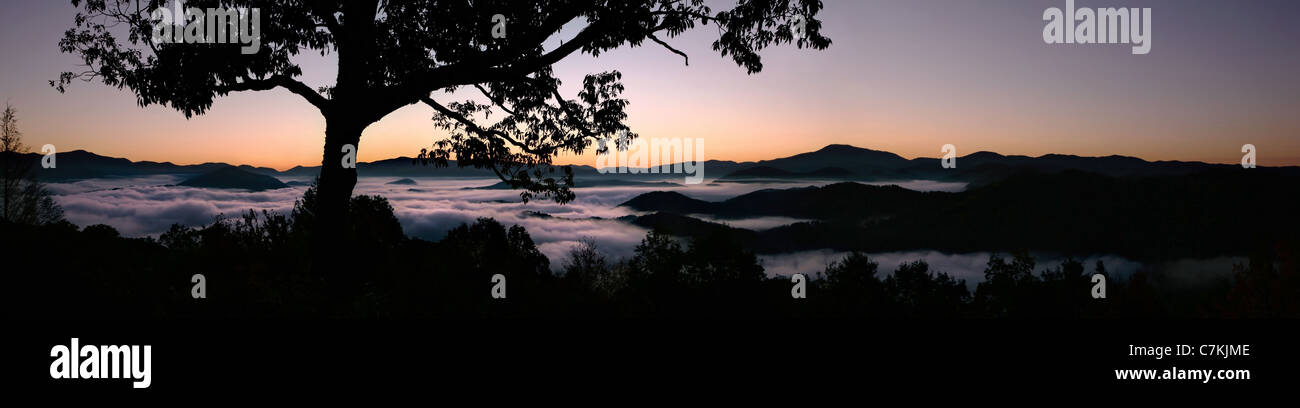 Panorama von einem Nebel füllte Tal im Morgengrauen in den Smoky Mountains von North Carolina Stockfoto