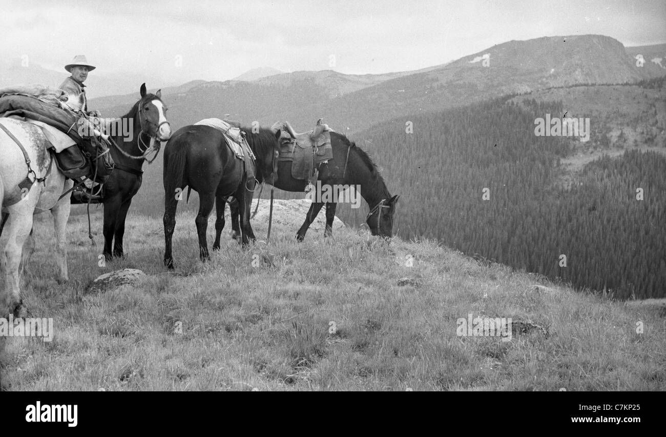 Mann Sittling auf Pferd mit Pferden Kalifornien Sierra Nevada Berge 1930s 1940s Reiten high Sierras camping Stockfoto