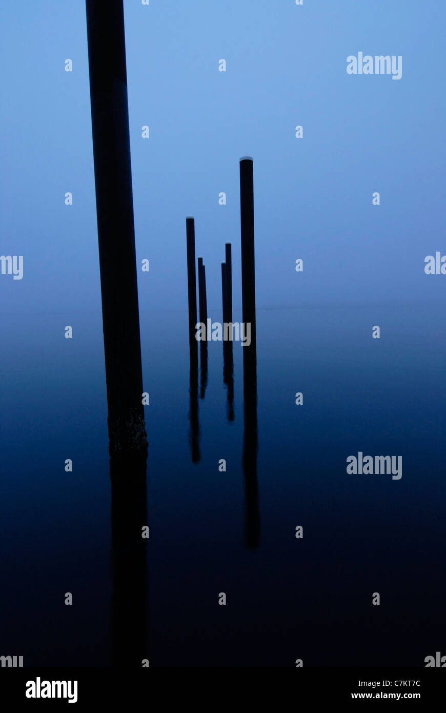 Pfähle im Nebel Stockfoto