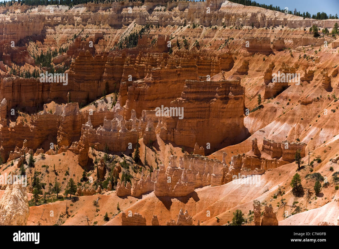 Bryce Canyon Nationalpark Utah USA Stockfoto