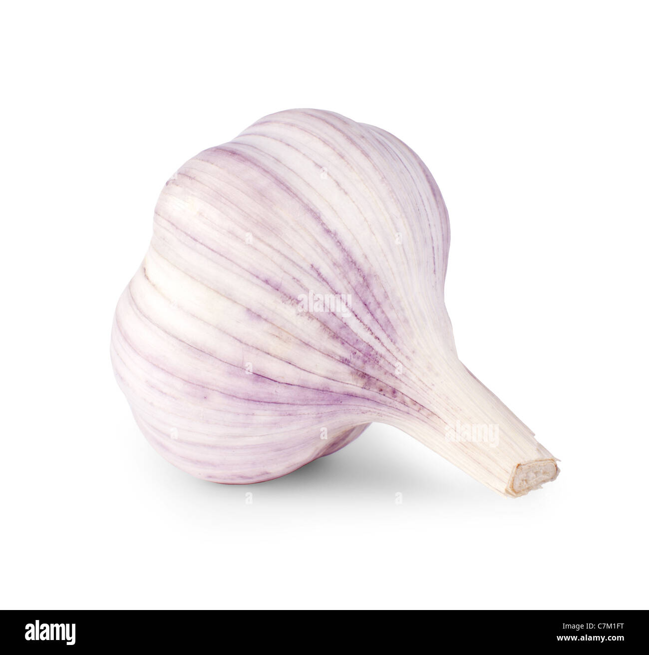 Ein Knoblauch isoliert auf weißem Hintergrund Stockfoto