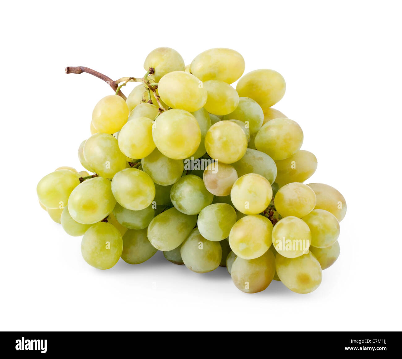 Frische Weintraube isoliert auf weißem Hintergrund Stockfoto