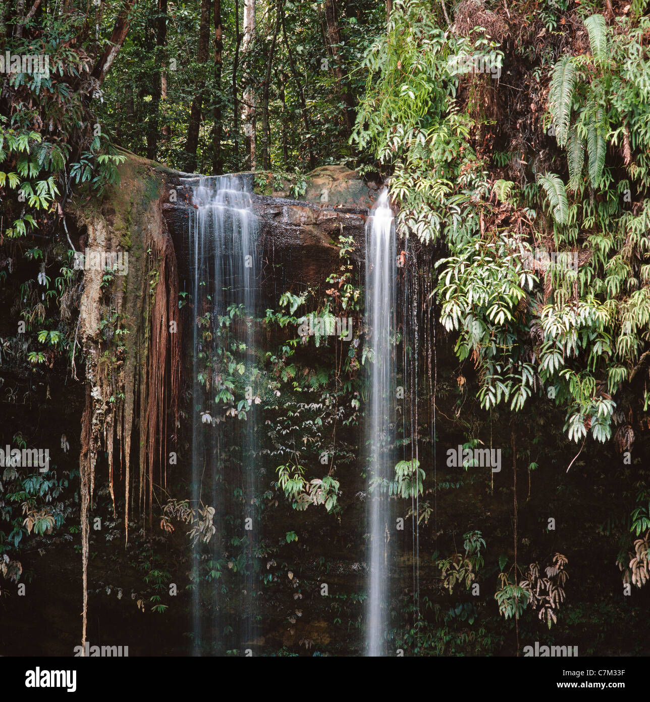 Dschungel-Wasserfall, Mulu Nationalpark, Sarawak, Borneo, Ost-Malaysia Stockfoto