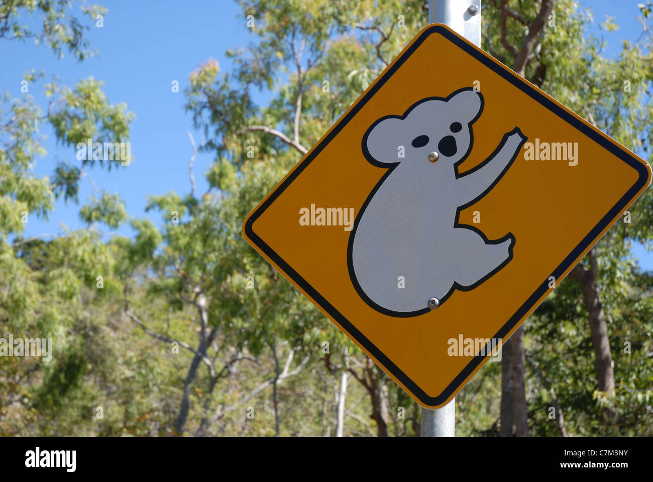 Koala Schild, Picnic Bay, Magnetic Island, Queensland, Australien Stockfoto