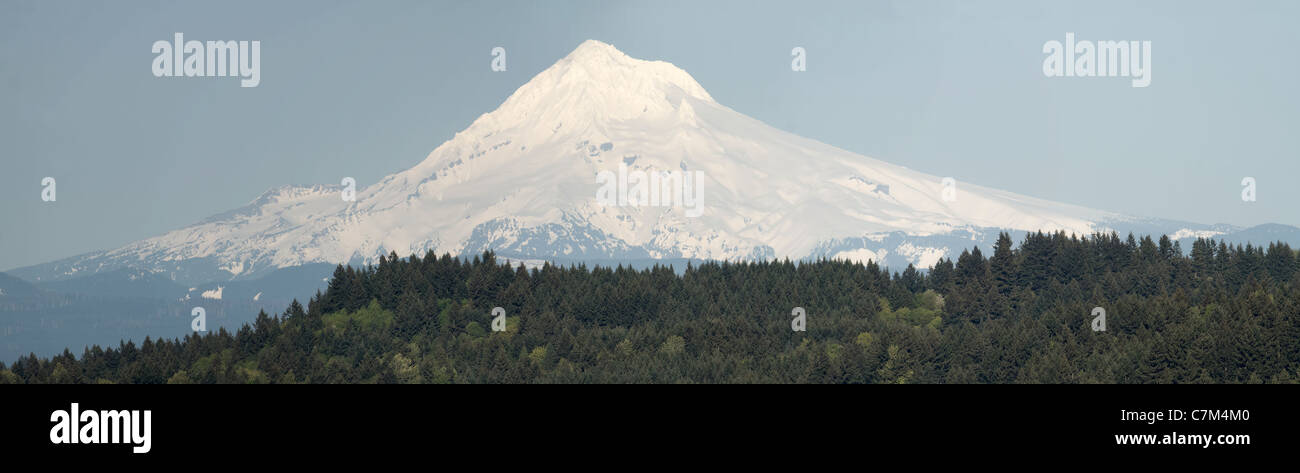 Mount Hood und Baumlandschaft in Oregon Panorama Stockfoto