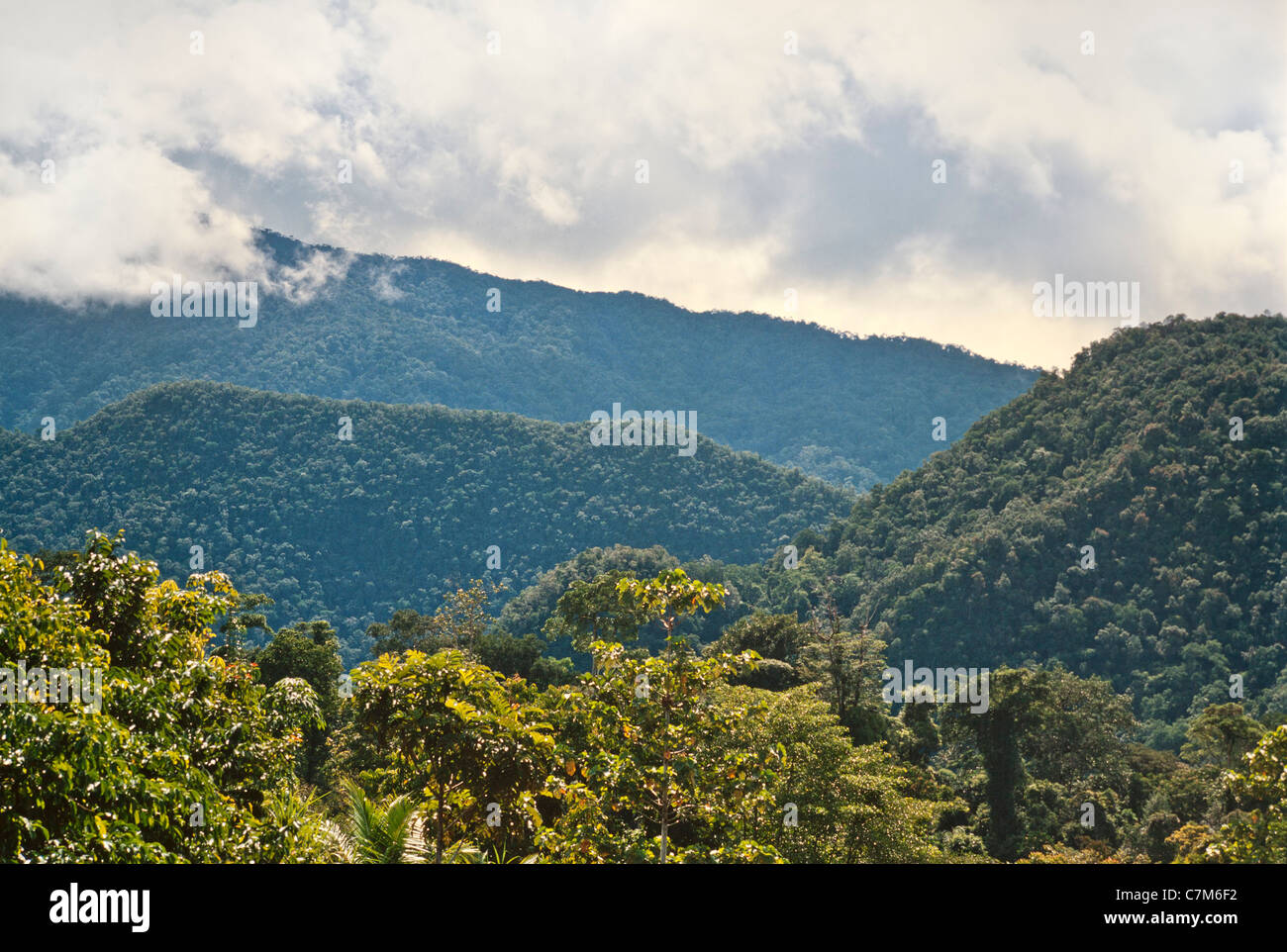 Bewaldeten üppigen tropischen Karst Hügeln, Mulu Nationalpark, Sarawak, Borneo, Ost-Malaysia Stockfoto