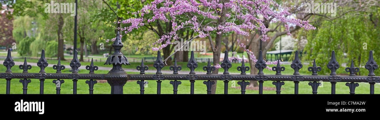 Schmiedeeisen Zaun am Boston Public Garden, Boston, Massachusetts, USA Stockfoto