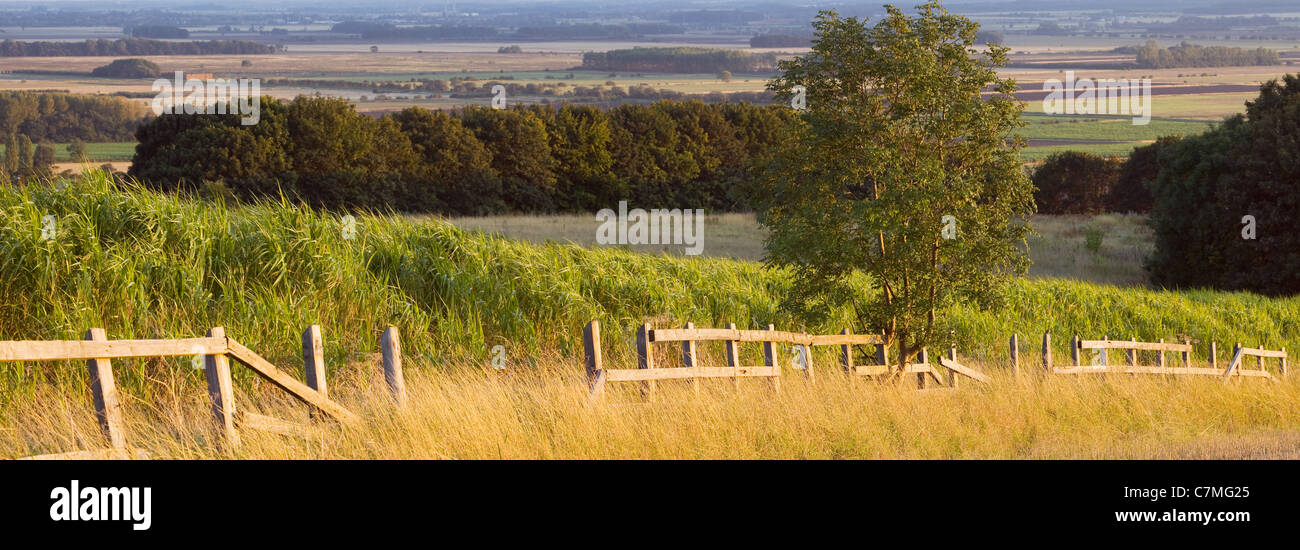 Ein Panorama-Foto der North Lincolnshire Landschaft auf einem sonnigen September-Abend Stockfoto