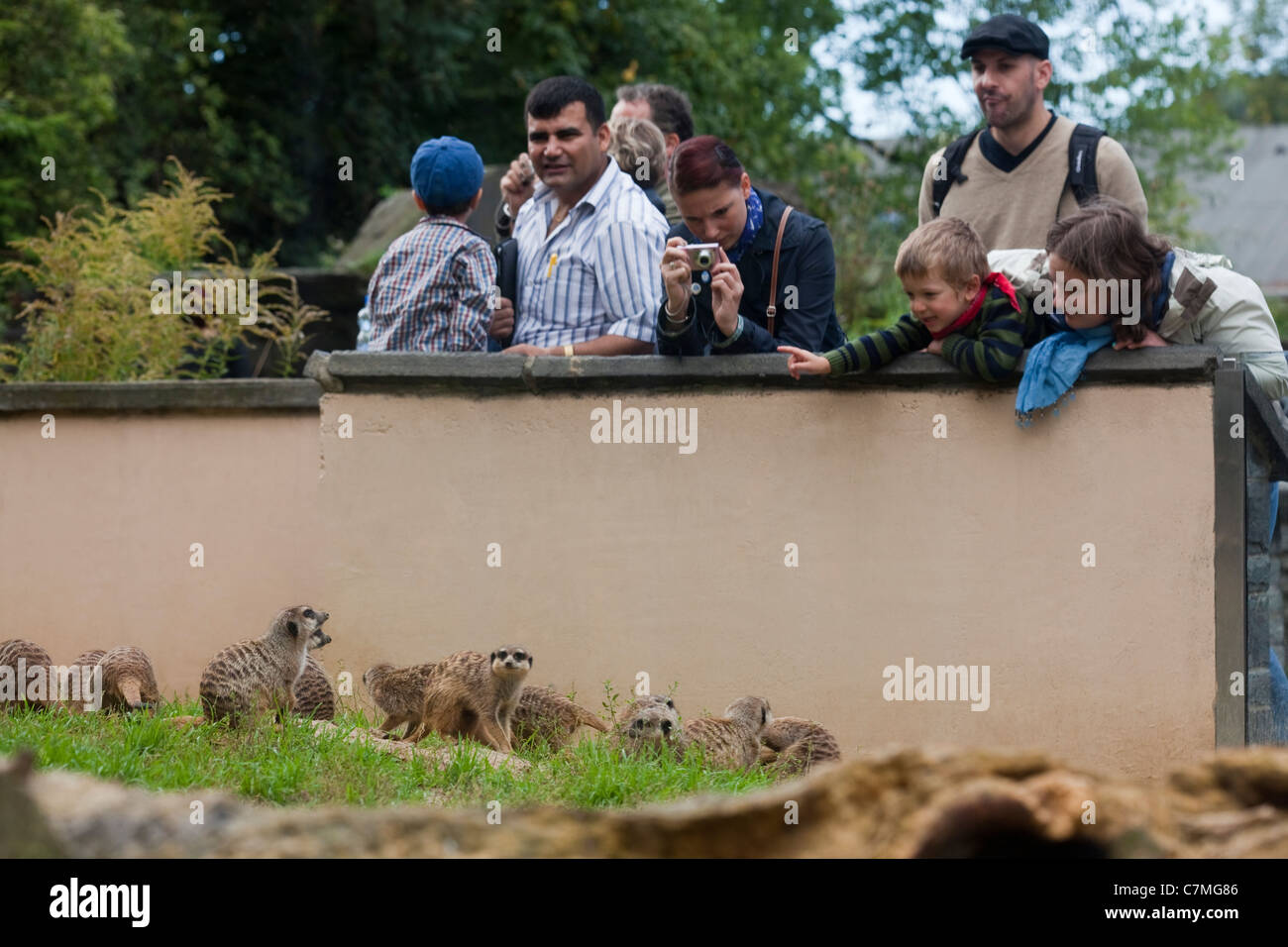 Erdmännchen (Suricata Suricata). Gehäuse und menschliche Besucher anzeigen. Koln zoologischen Gärten, Köln. Stockfoto