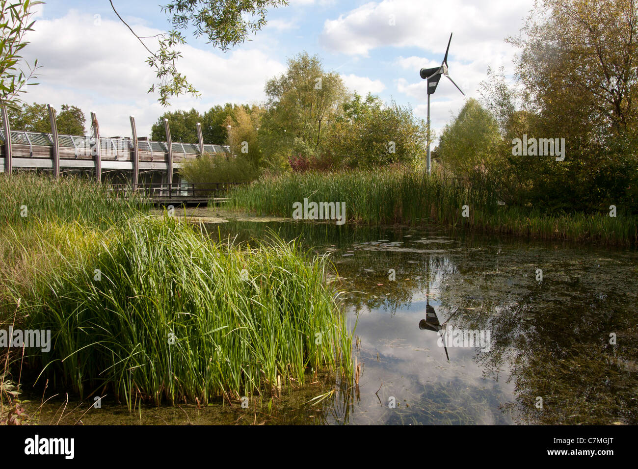 Mile End Ökologie Park, London, England Stockfoto