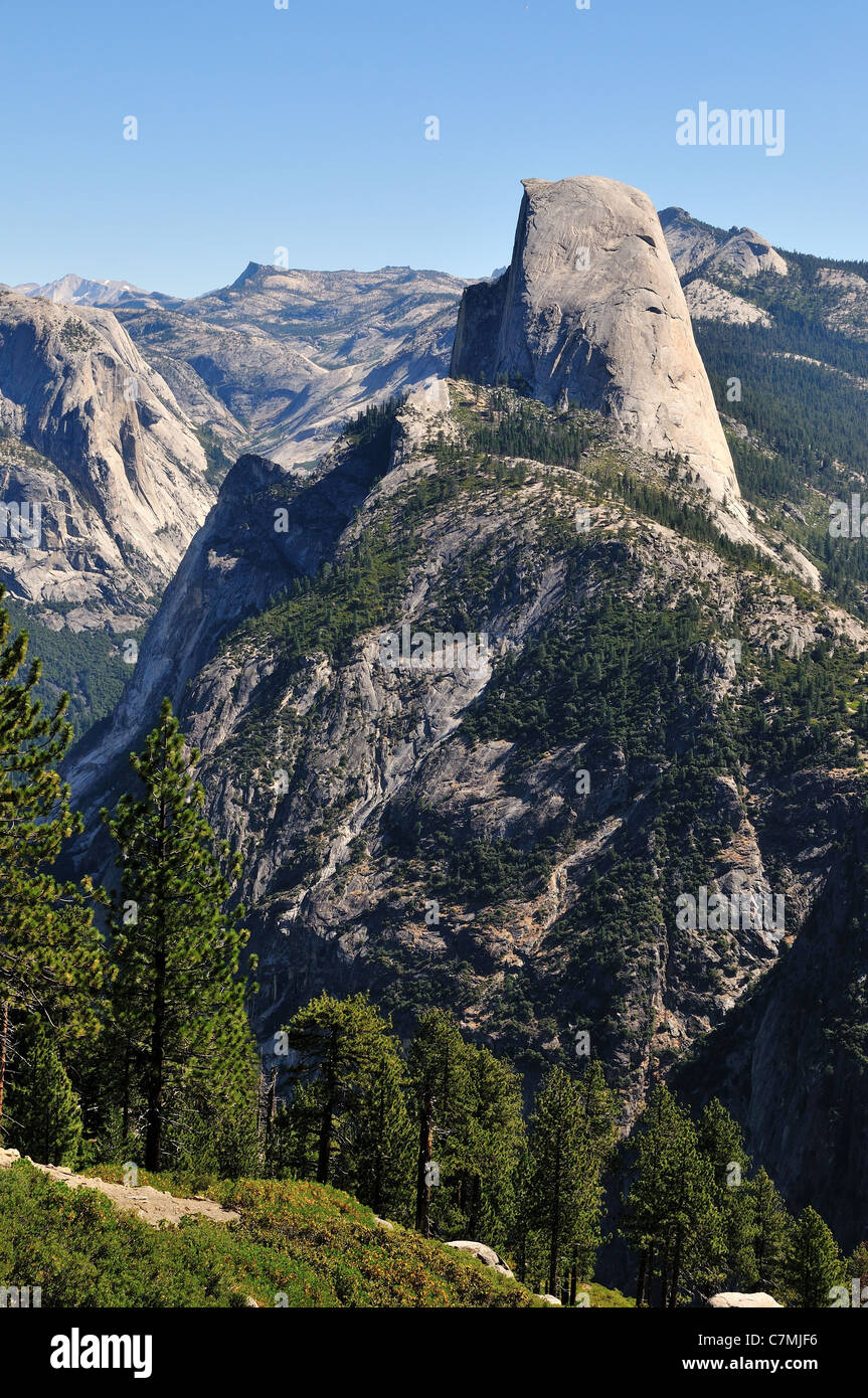 Blick auf den Half Dome von Washburn Point. Yosemite Nationalpark, Kalifornien, USA. Stockfoto