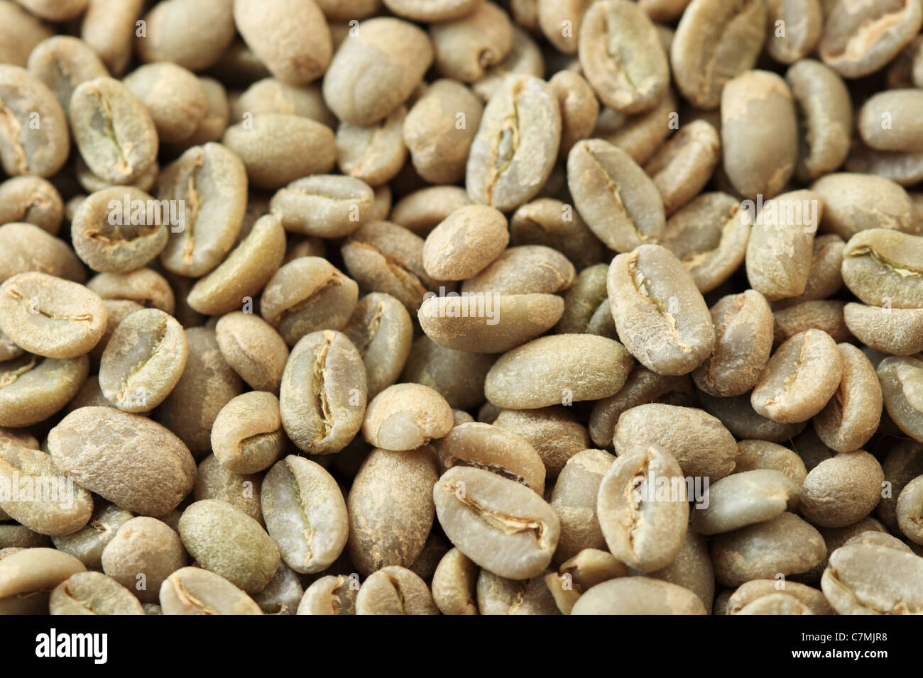 grüne Kaffeebohnen Hintergrund in einem Winkel mit selektiven Fokus Stockfoto