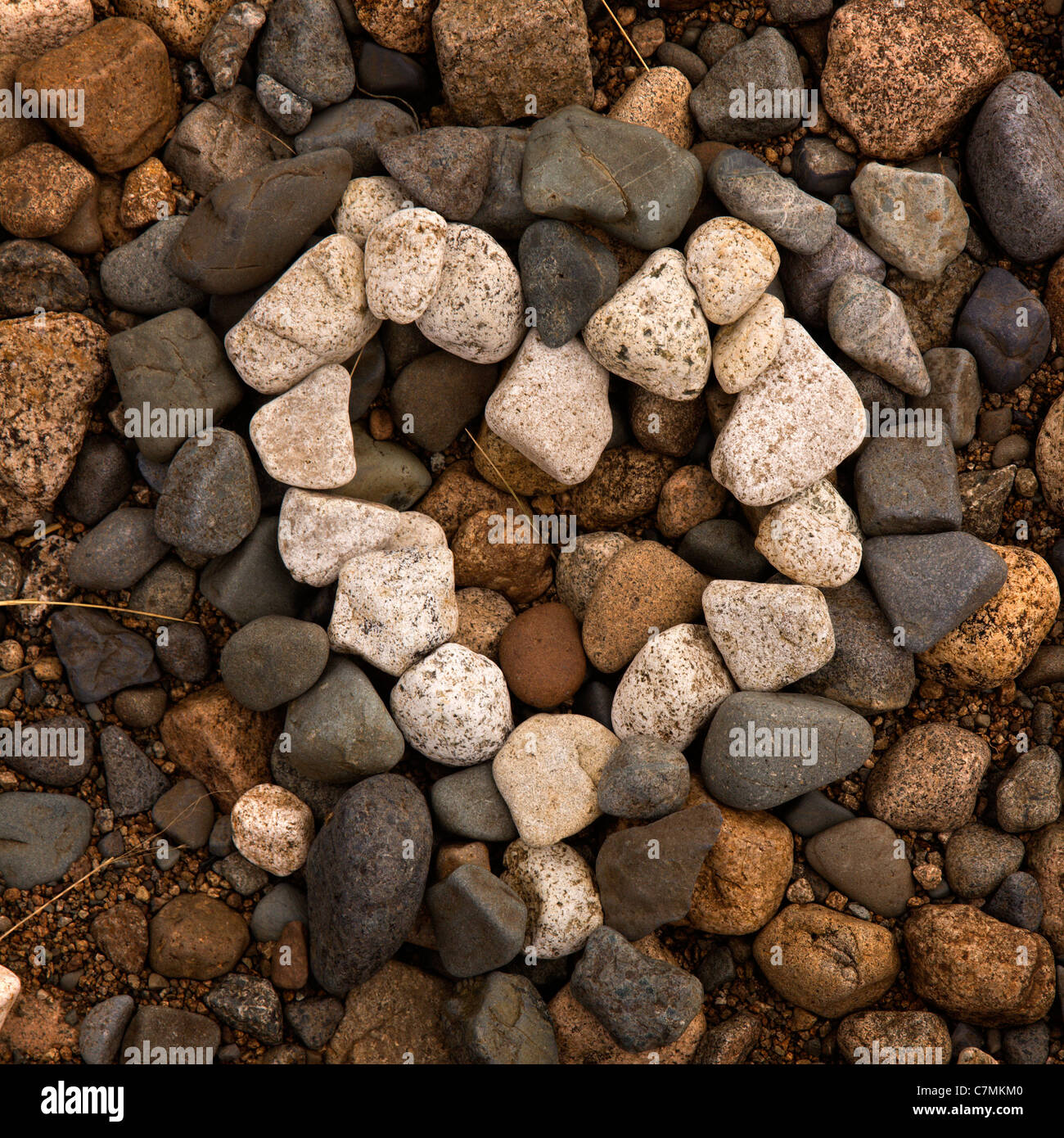 Anordnung der weißen und grauen Strand Kieselsteine bilden eine Liebe Herzen, Schottland, UK Stockfoto