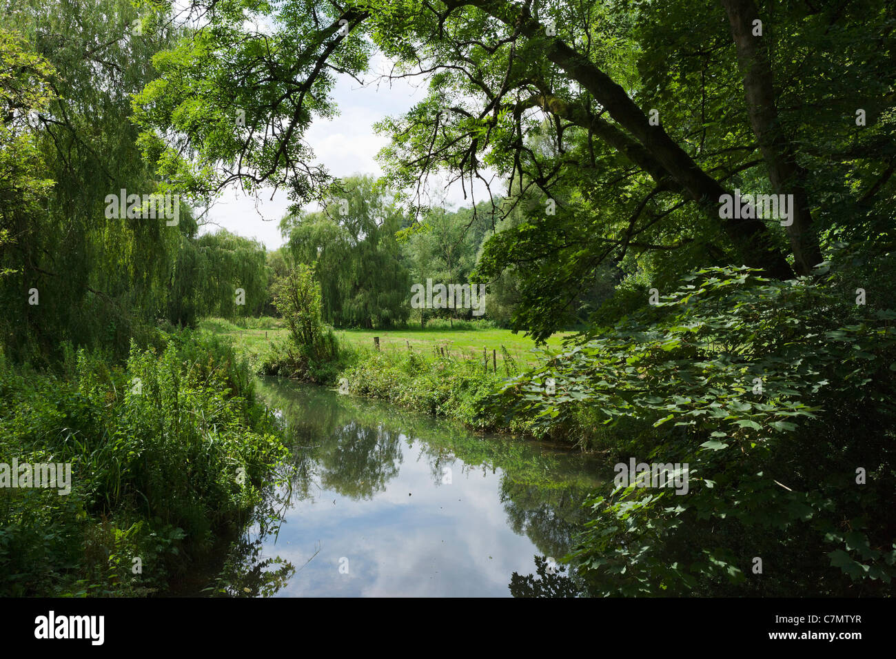 Stream in das Dorf von Castle Combe, Wiltshire, England, UK Stockfoto