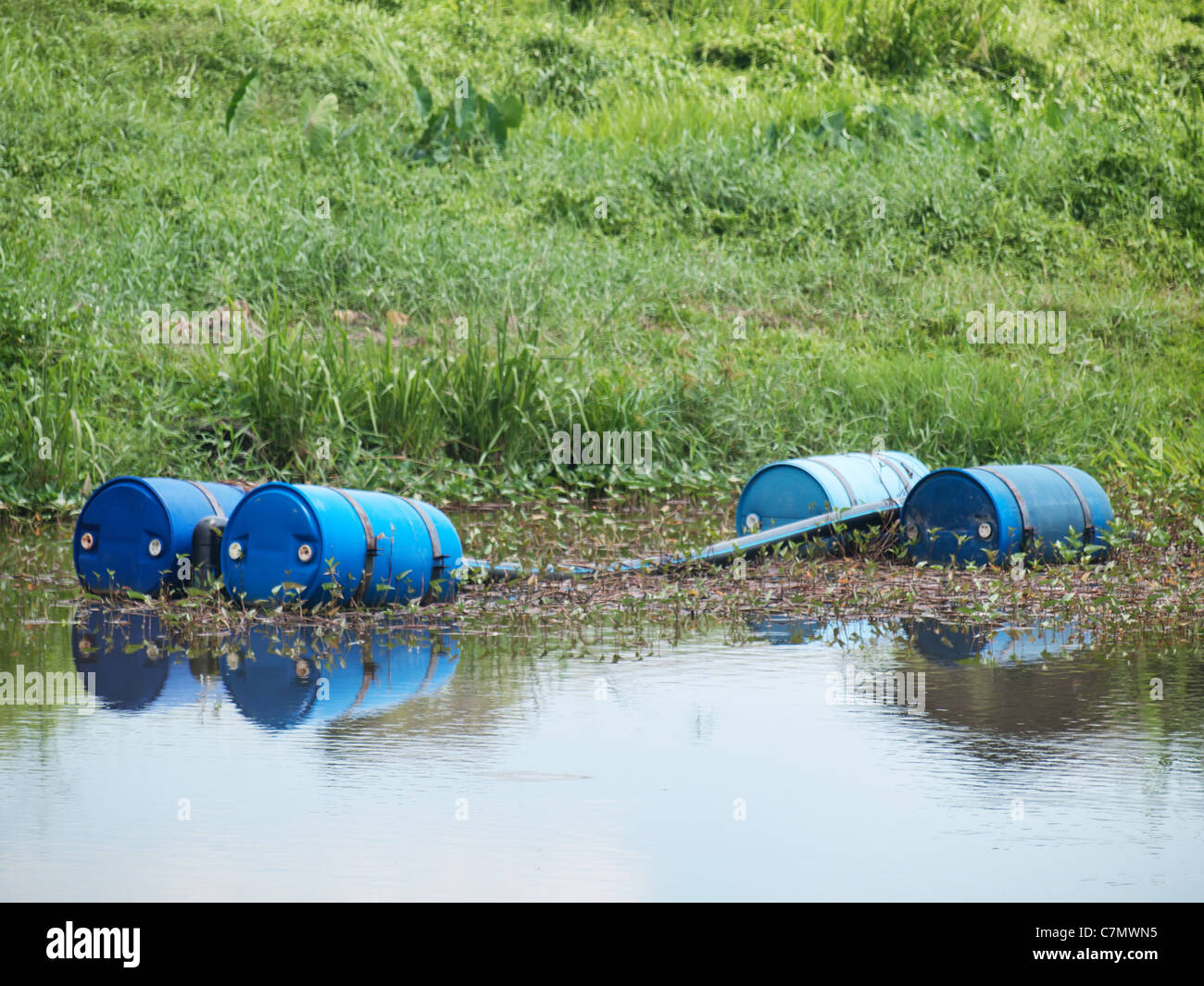 Blaue giftige Trommeln im Fluss Stockfoto