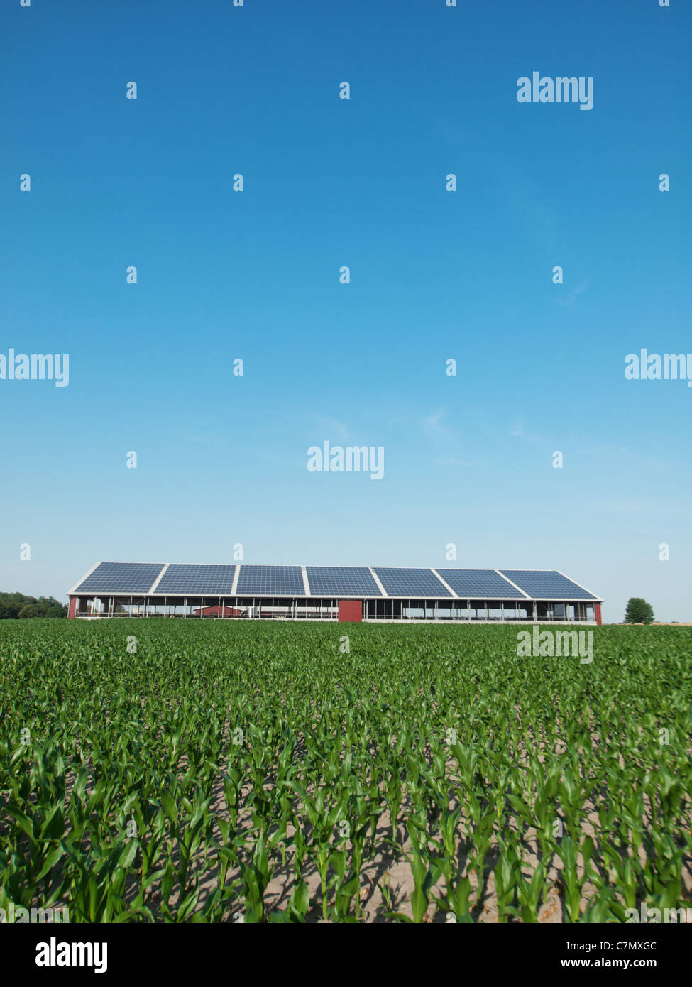 Bauernhof mit Sonnenkollektoren auf dem Dach Stockfoto