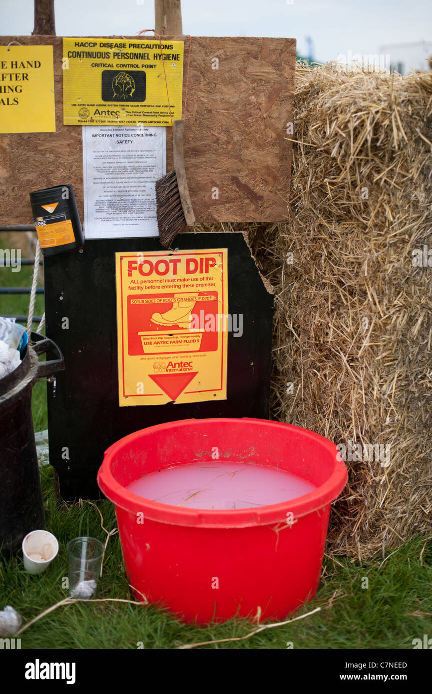 Sprung zur Verhütung von Krankheiten Gransden landwirtschaftliche zeigen Cambridgeshire England UK Fuß Stockfoto