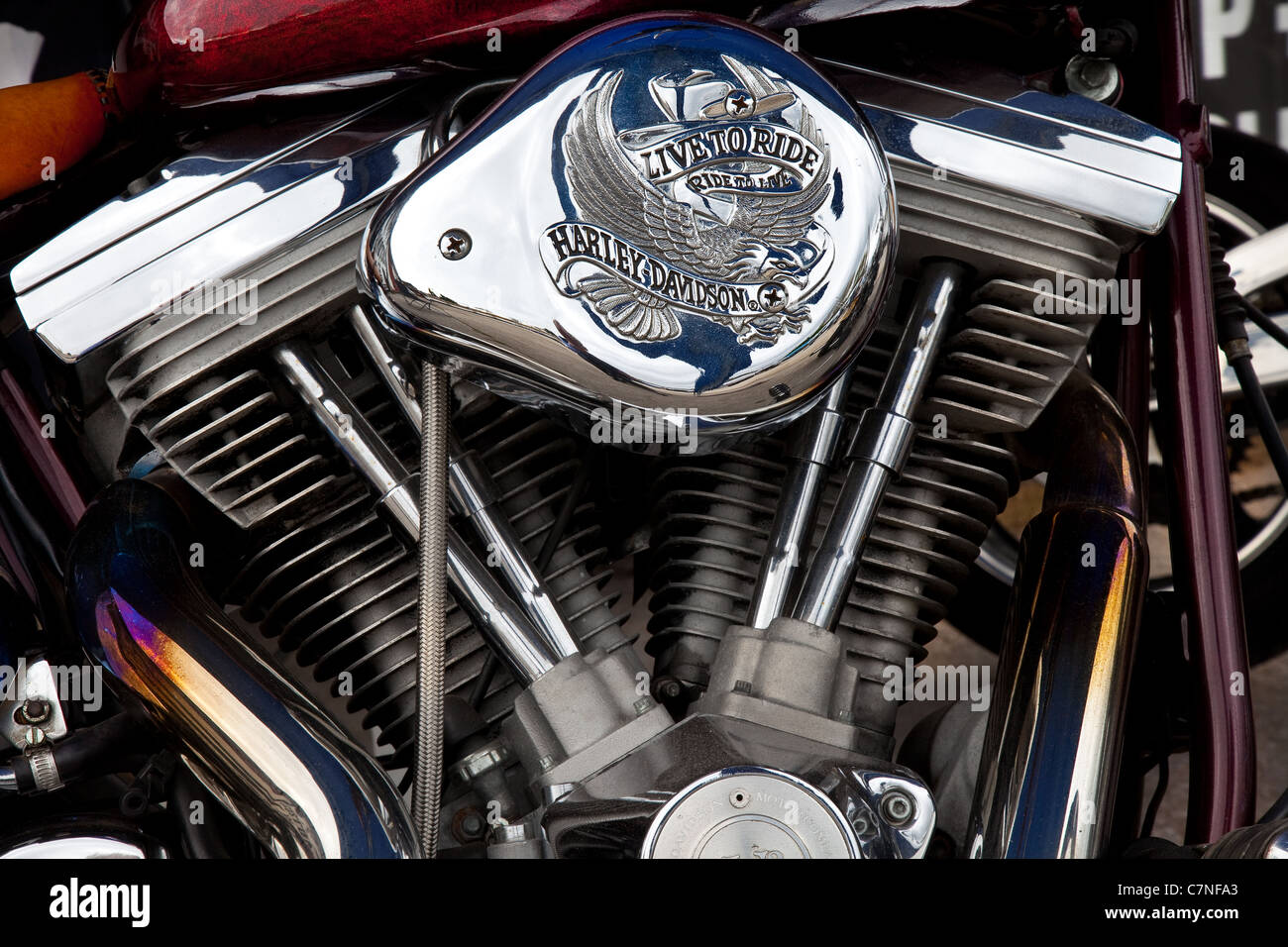 'Live to Ride' Harley Davidson Engine Logo; Classic Motorrad Teile, Detail, Bau, Nahaufnahme oder Nahaufnahme Stockfoto