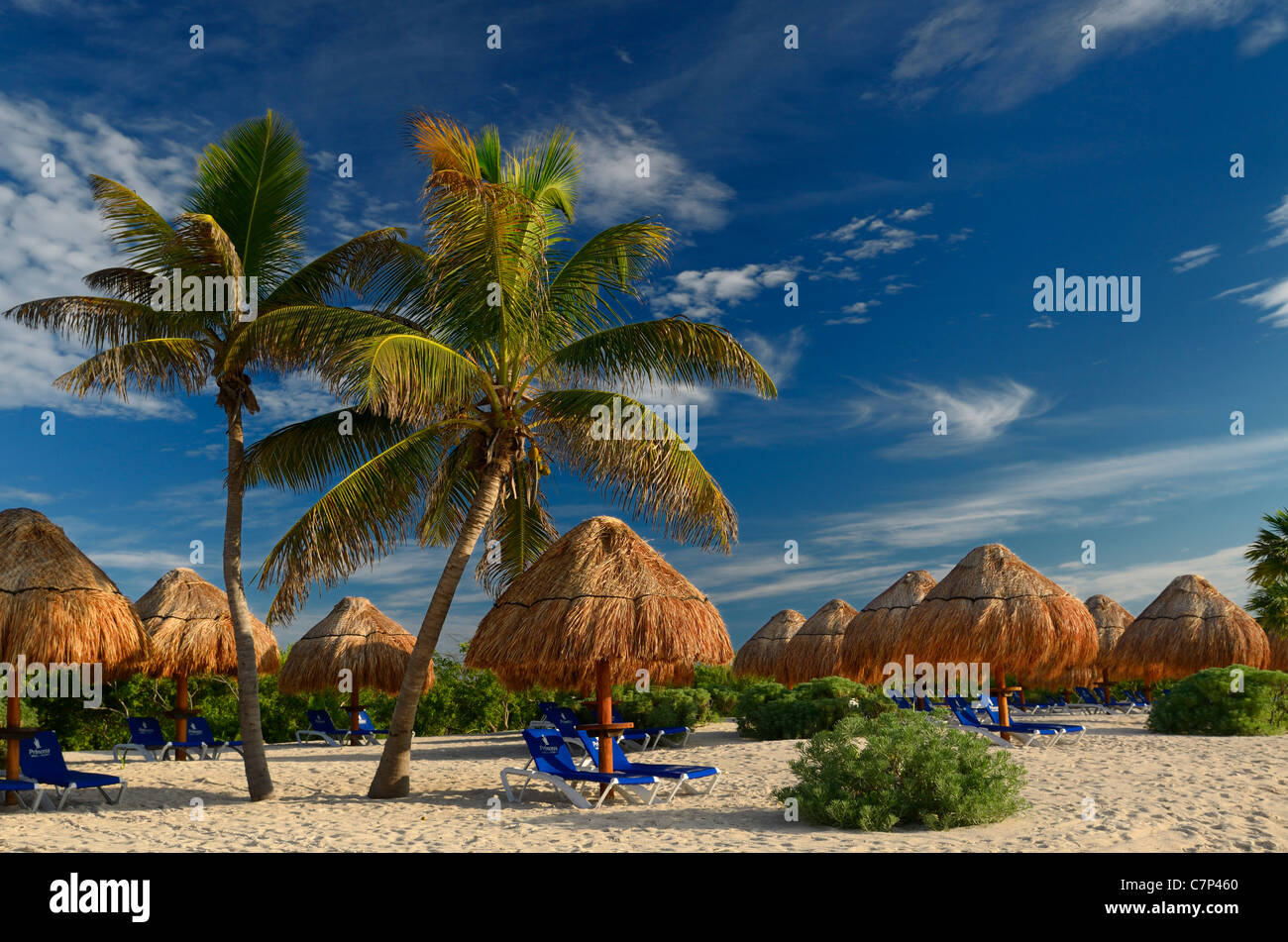 Leere Riviera Maya Beach Lounge Sessel mit strohgedeckten Sonnenschirmen und Kokospalmen Mexiko Stockfoto