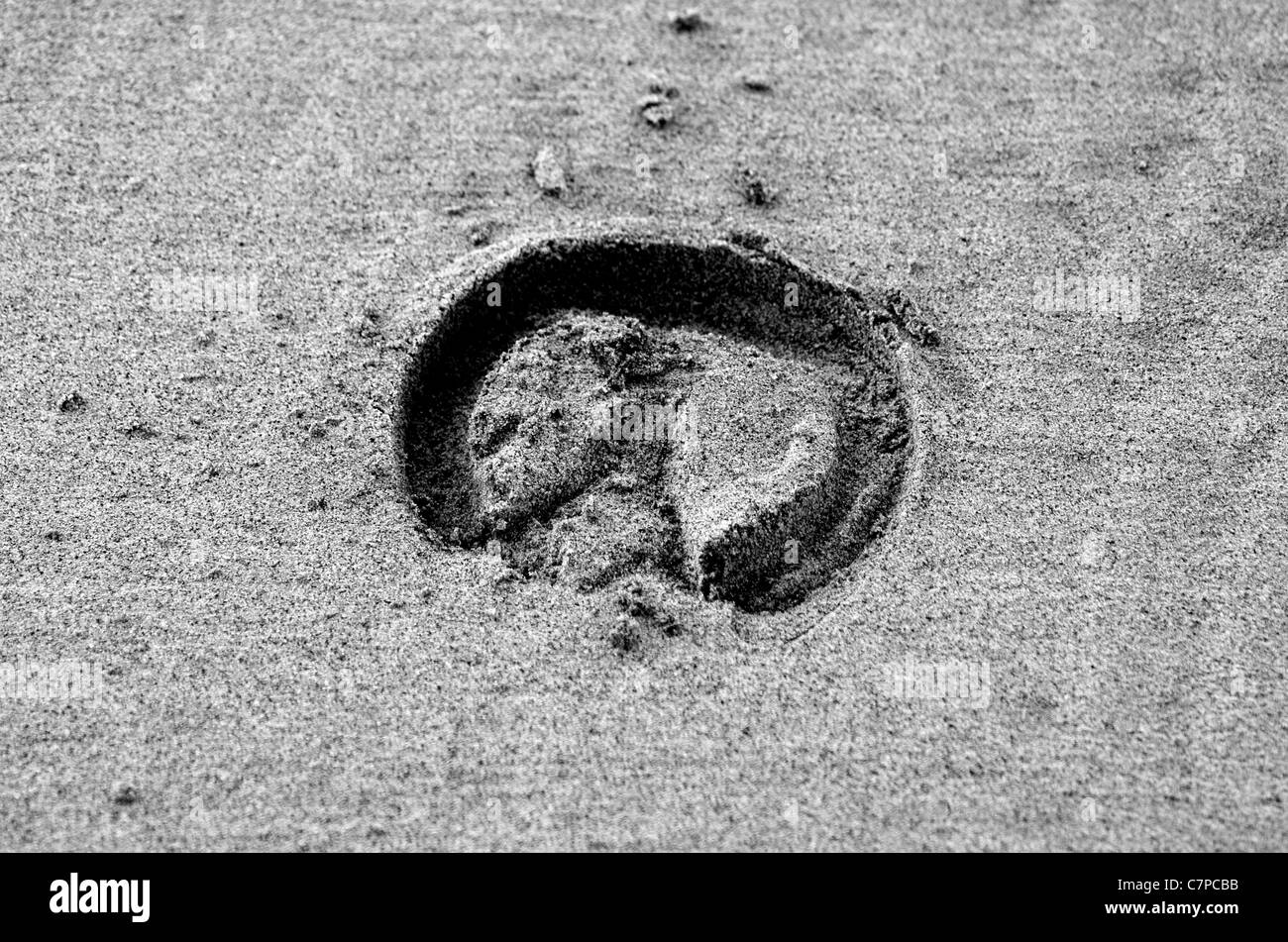 Hoof print sand Stockfoto