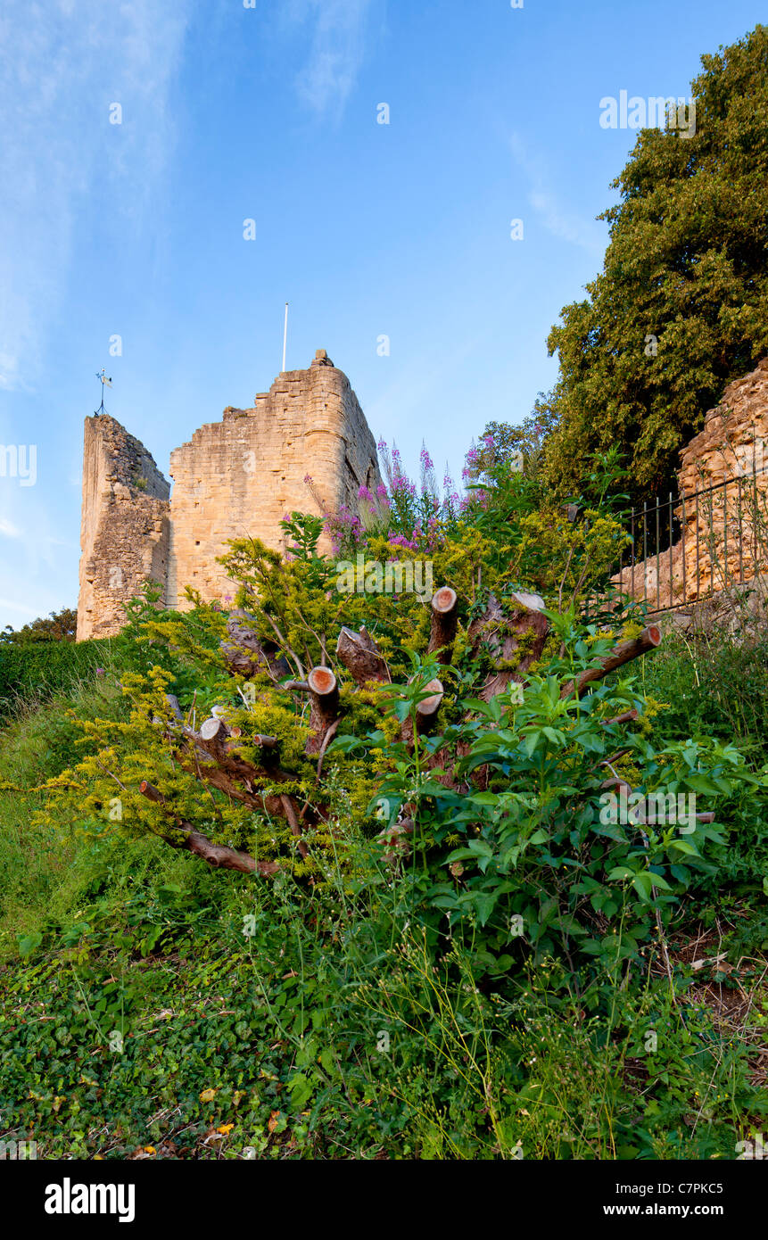 Ruinen des Schlosses Norman in Knaresborough, North Yorkshire. Stockfoto