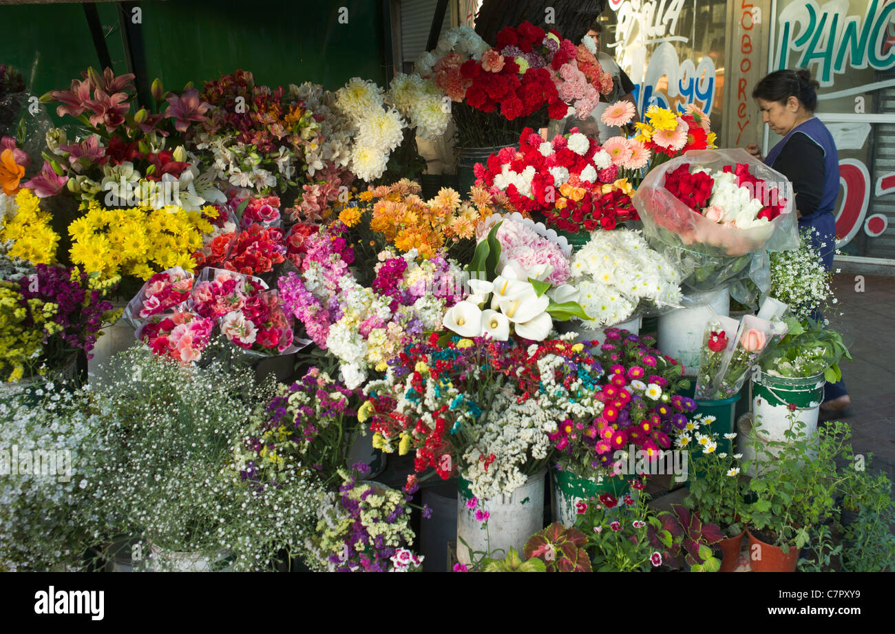 Frau Verkäufer Verkauf von Blumen aus Stall. Mendoza, Argentinien, Südamerika Stockfoto