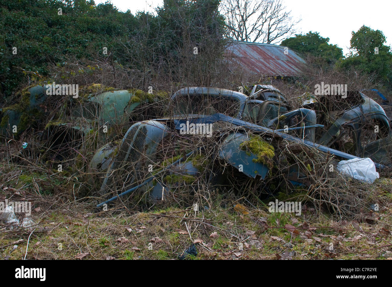 Autoschrott In einem Feld Stockfoto