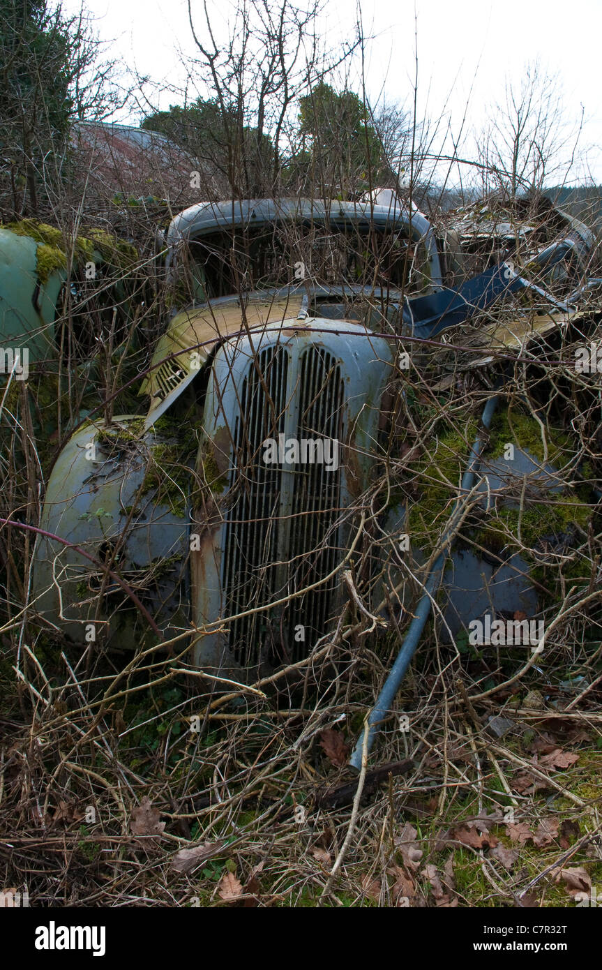 Autoschrott In einem Feld Stockfoto