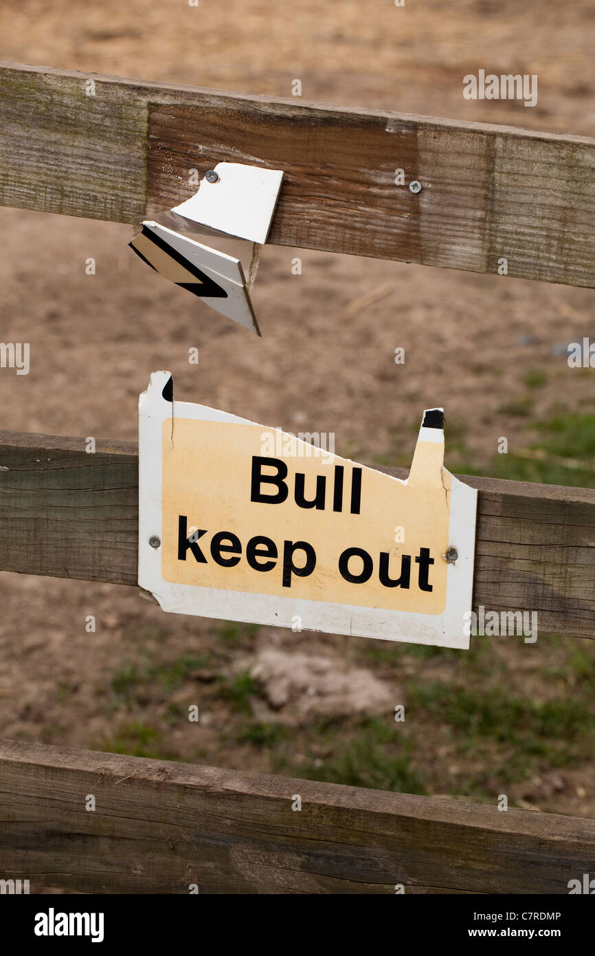 Zeichen Sie, "BULL fernzuhalten". Weidezaun, Suffolk, England. Warnhinweis für die Öffentlichkeit, Wanderer und Passanten. Stockfoto