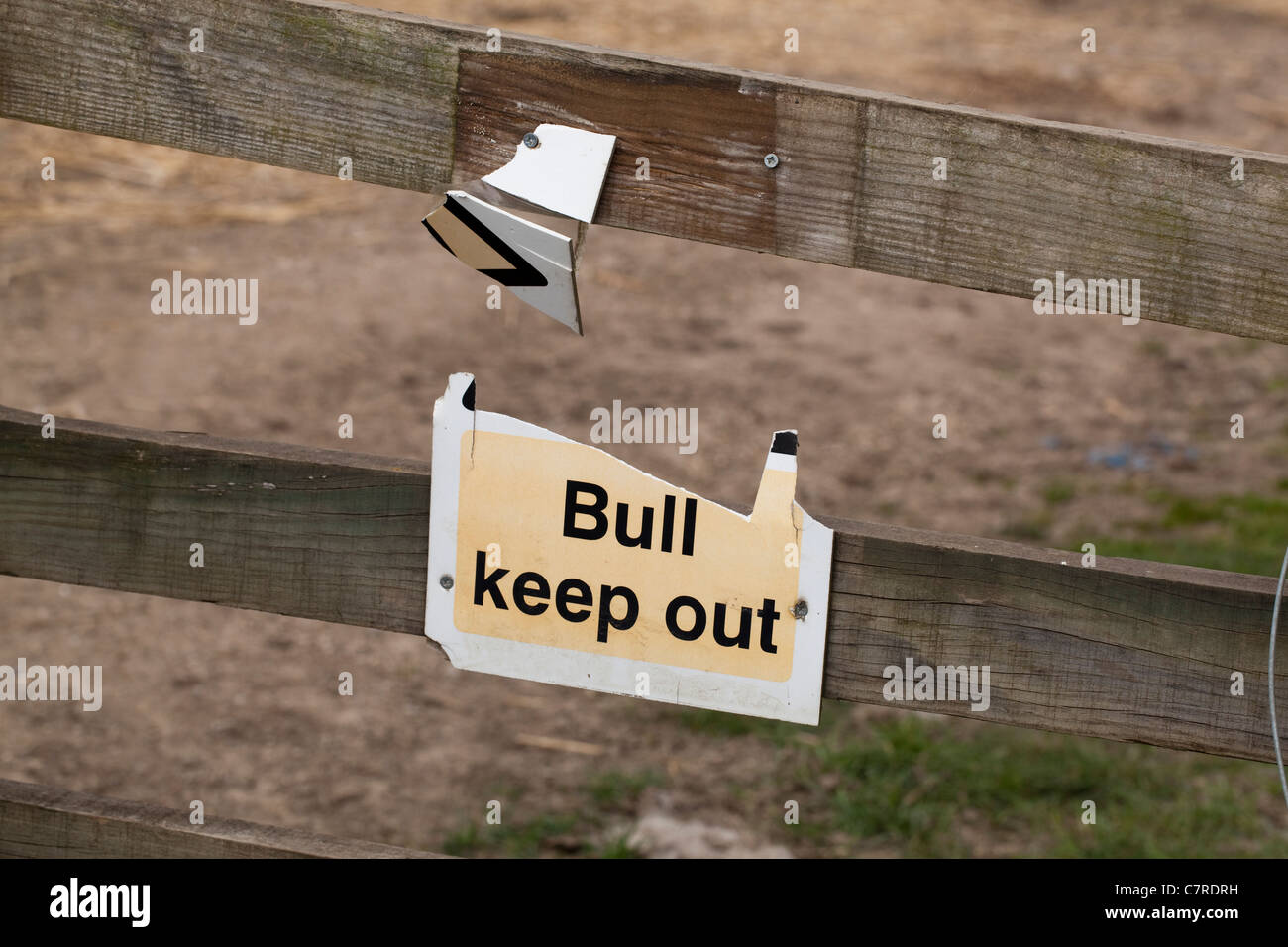 Zeichen Sie, "BULL fernzuhalten". Weidezaun, Suffolk, England. Warnhinweis auf öffentlichen, Passanten. Stockfoto